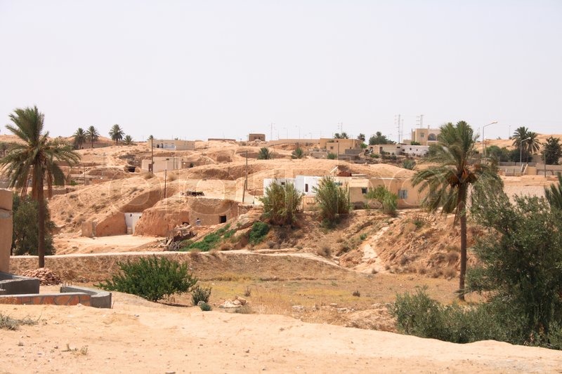 Al Wadi Al Gadeed Oasis